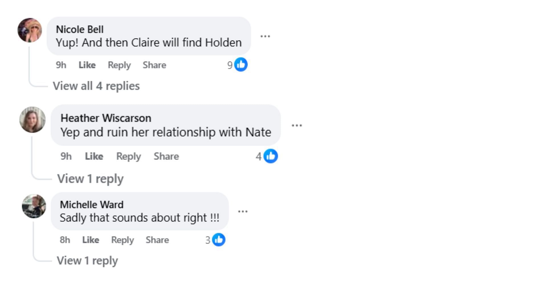 Comments by fans on the post (Image via Facebook/@Debbie Forte)